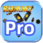 Rummy Pro Logo